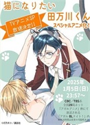 ����è�����򴨾�