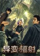 ��䣺����
